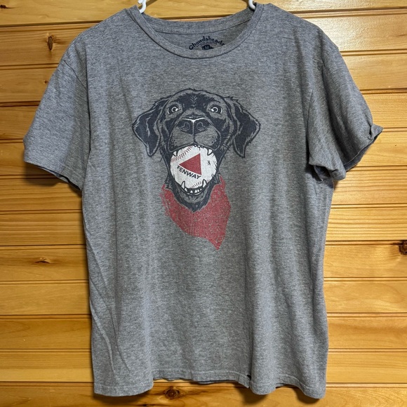 Chowdaheadz Gray Dog Baseball Fenway Graphic T-Shirt Medium - Picture 1 of 5